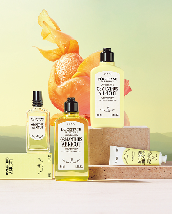L'Occitane コレクション アブシエンヌ Eau de Toilette 75ml L